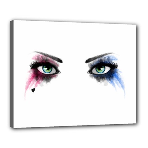 Look Of Madness Canvas 20  X 16  by jumpercat