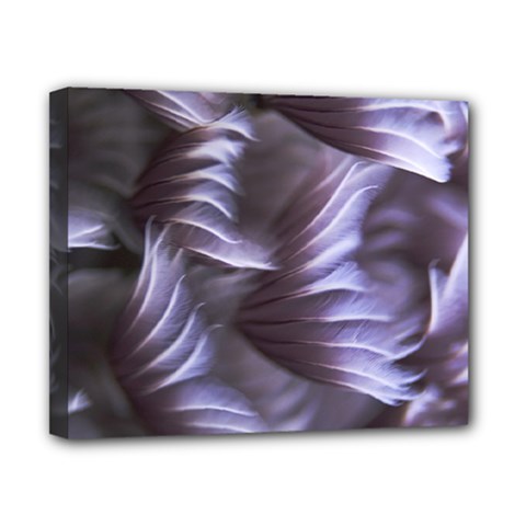 Sea Worm Under Water Abstract Canvas 10  X 8  by Nexatart