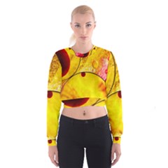 Abstract Water Oil Macro Cropped Sweatshirt by Nexatart