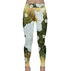 Summer Anemone Sylvestris Classic Yoga Leggings by Nexatart