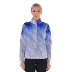 Feather Blue Colored Winterwear by Nexatart