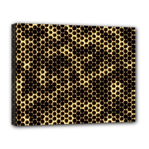 Honeycomb Beehive Nature Canvas 14  X 11 