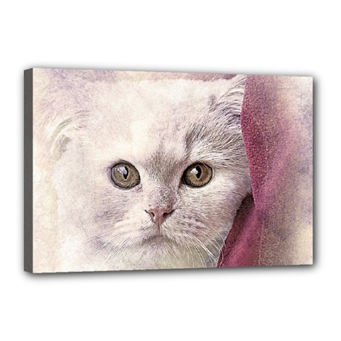 Cat Pet Cute Art Abstract Vintage Canvas 18  x 12 