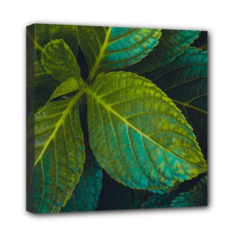 Green Plant Leaf Foliage Nature Multi Function Bag	 by Nexatart