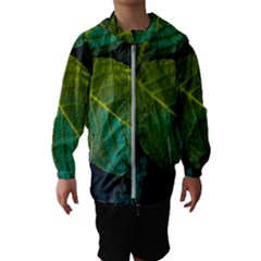 Green Plant Leaf Foliage Nature Hooded Wind Breaker (kids) by Nexatart