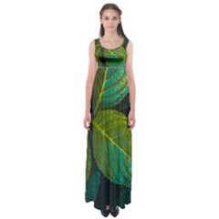 Green Plant Leaf Foliage Nature Empire Waist Maxi Dress by Nexatart