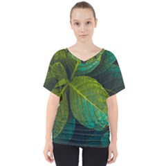 Green Plant Leaf Foliage Nature V-neck Dolman Drape Top by Nexatart