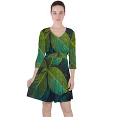 Green Plant Leaf Foliage Nature Ruffle Dress by Nexatart