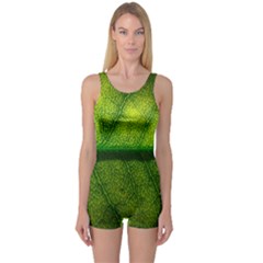 Leaf Nature Green The Leaves One Piece Boyleg Swimsuit by Nexatart