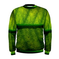 Leaf Nature Green The Leaves Men s Sweatshirt