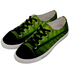 Leaf Nature Green The Leaves Men s Low Top Canvas Sneakers