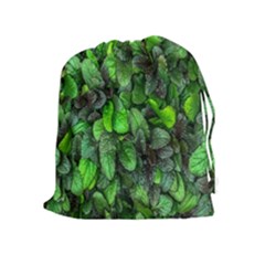 The Leaves Plants Hwalyeob Nature Drawstring Pouches (extra Large) by Nexatart