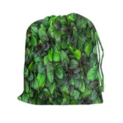 The Leaves Plants Hwalyeob Nature Drawstring Pouches (xxl) by Nexatart