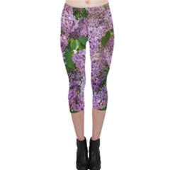 Lilacs 2 Capri Leggings 