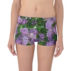 Lilacs 2 Reversible Boyleg Bikini Bottoms