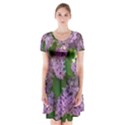 Lilacs 2 Short Sleeve V-neck Flare Dress View1