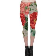 Flower Floral Background Red Rose Capri Leggings  by Nexatart