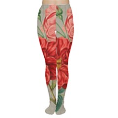 Flower Floral Background Red Rose Women s Tights by Nexatart