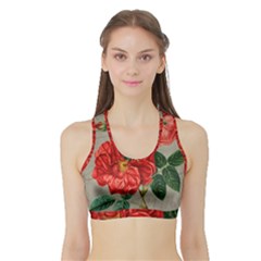 Flower Floral Background Red Rose Sports Bra With Border by Nexatart