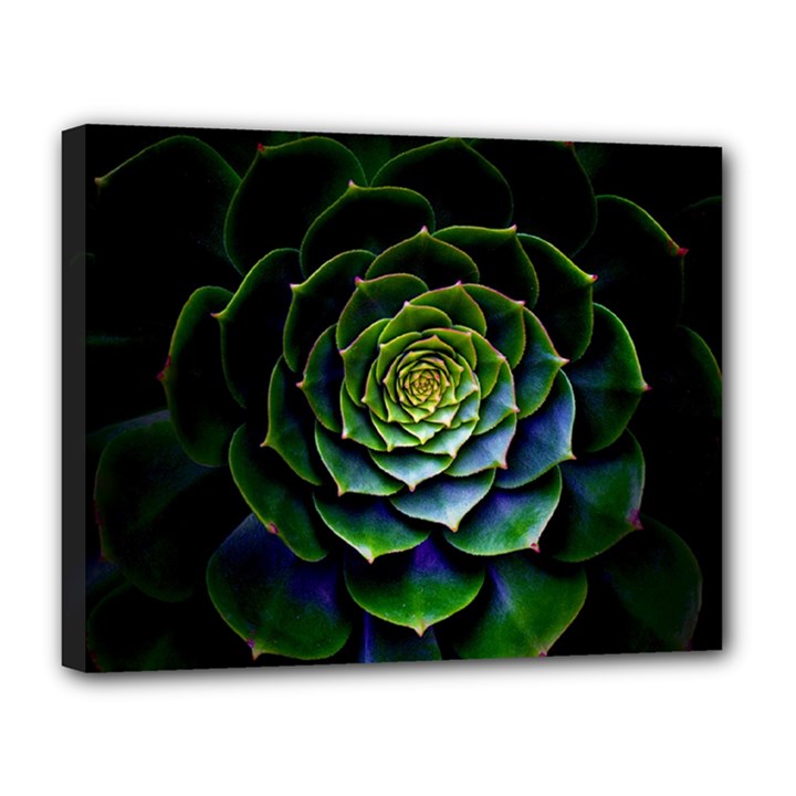 Nature Desktop Flora Color Pattern Canvas 14  x 11 