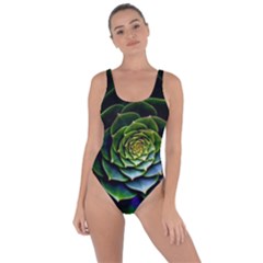 Nature Desktop Flora Color Pattern Bring Sexy Back Swimsuit by Nexatart