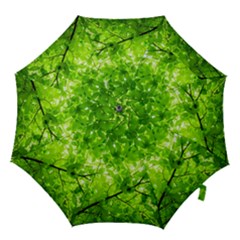 Green Wood The Leaves Twig Leaf Texture Hook Handle Umbrellas (small) by Nexatart