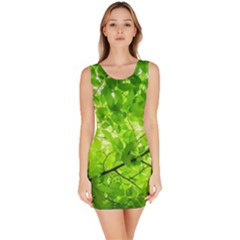 Green Wood The Leaves Twig Leaf Texture Bodycon Dress