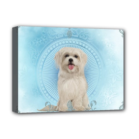 Cute Little Havanese Puppy Deluxe Canvas 16  X 12   by FantasyWorld7