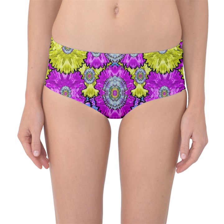 Fantasy Bloom In Spring Time Lively Colors Mid-Waist Bikini Bottoms