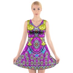 Fantasy Bloom In Spring Time Lively Colors V-neck Sleeveless Skater Dress by pepitasart
