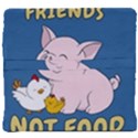 Friends Not Food - Cute Pig and Chicken Back Support Cushion View4