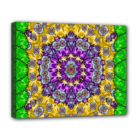 Sunshine In Mind The Season Is Decorative Fine Deluxe Canvas 20  X 16   by pepitasart