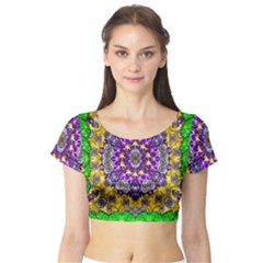 Sunshine In Mind The Season Is Decorative Fine Short Sleeve Crop Top by pepitasart