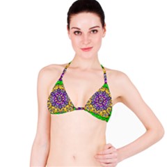 Sunshine In Mind The Season Is Decorative Fine Bikini Top by pepitasart