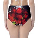 Strawberry Fruit Food Art Abstract High-Waist Bikini Bottoms View2