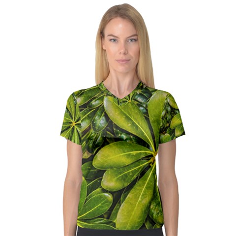 Top View Leaves V-neck Sport Mesh Tee by dflcprints