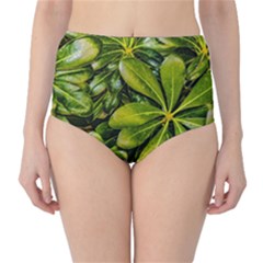 Top View Leaves High-waist Bikini Bottoms by dflcprints