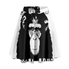 Stop Animal Abuse - Chimpanzee  High Waist Skirt by Valentinaart