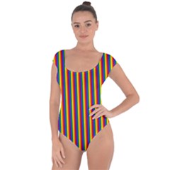 Vertical Gay Pride Rainbow Flag Pin Stripes Short Sleeve Leotard 