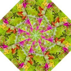 Colored Plants Photo Folding Umbrellas by dflcprints