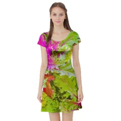 Colored Plants Photo Short Sleeve Skater Dress by dflcprints