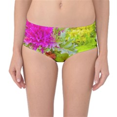 Colored Plants Photo Mid-waist Bikini Bottoms by dflcprints