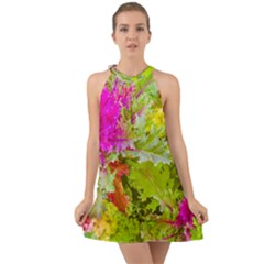 Colored Plants Photo Halter Tie Back Chiffon Dress by dflcprints