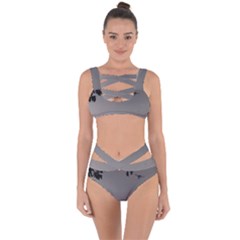 Stop Action Pigeon Bandaged Up Bikini Set  by snowwhitegirl