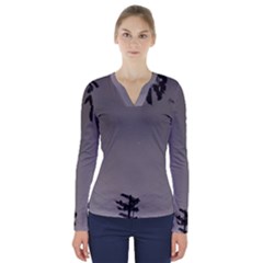 Stop Action Pigeon V-Neck Long Sleeve Top