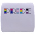 Pride Back Support Cushion View1