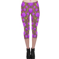 Roses Dancing On A Tulip Field Of Festive Colors Capri Leggings  by pepitasart