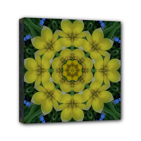 Fantasy Plumeria Decorative Real And Mandala Mini Canvas 6  X 6  by pepitasart