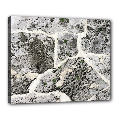 Coquina Shell Limestone Rocks Canvas 20  X 16  by Nexatart