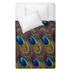 Peacock Feathers Bird Plumage Duvet Cover Double Side (single Size) by Nexatart